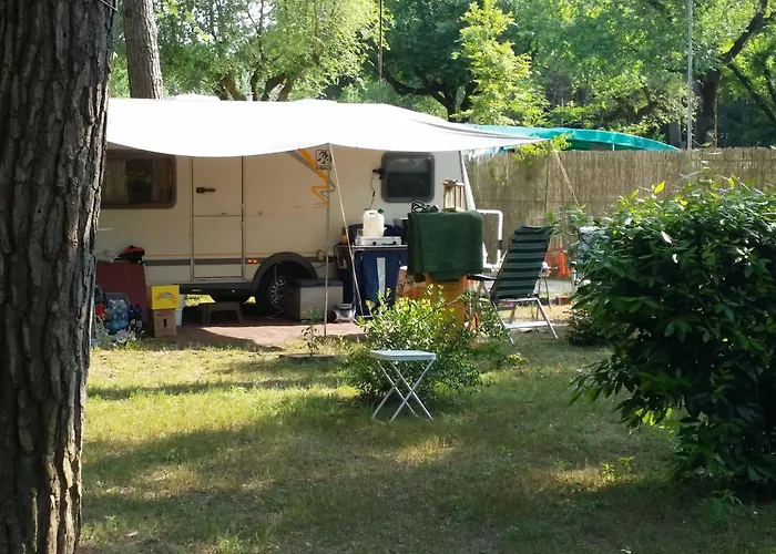 Camping Valdor Camper & Pitch