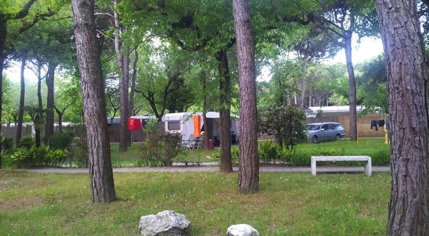 Valdor Camper & Pitch