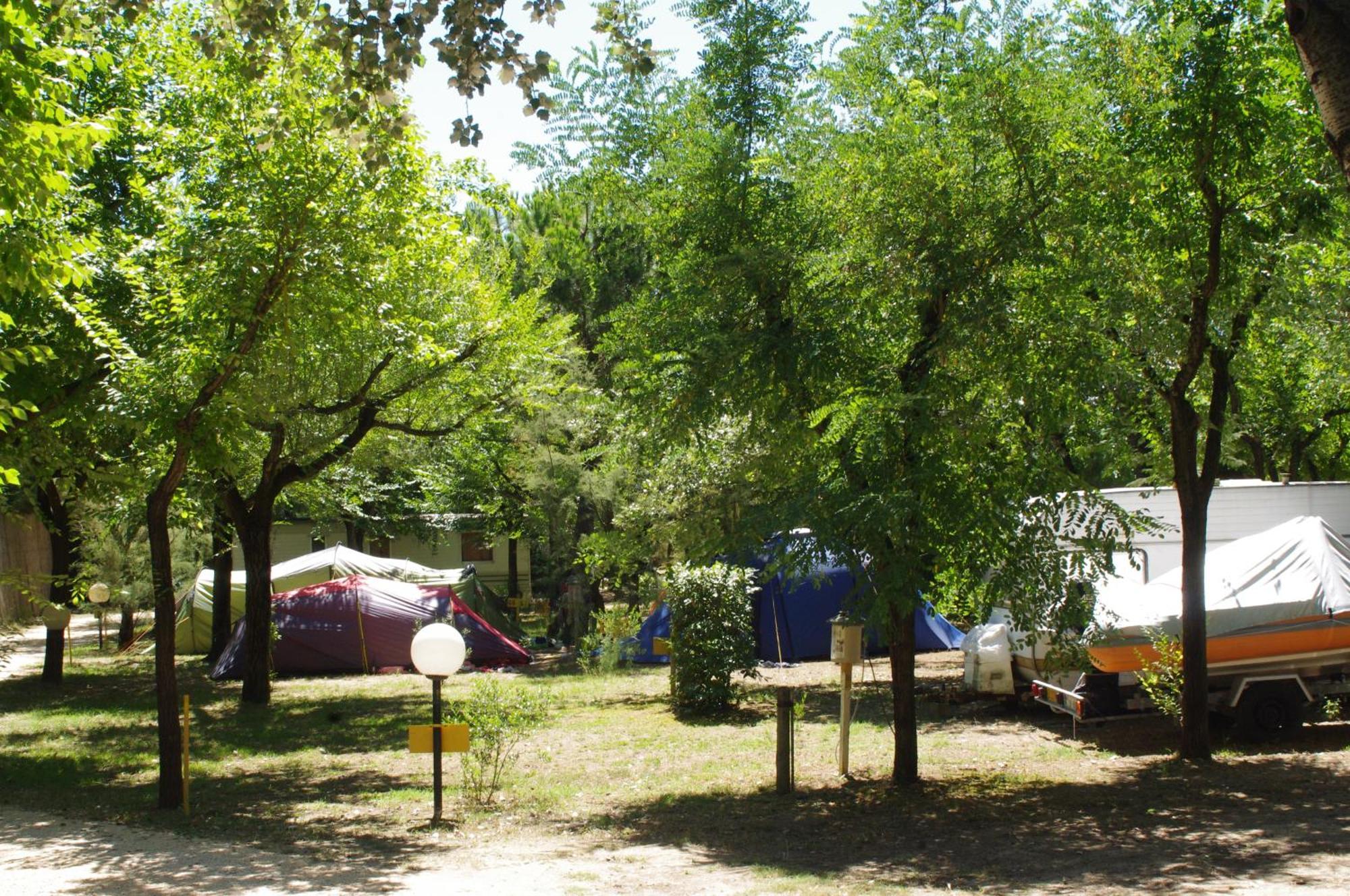 Valdor Camper & Pitch Camping *